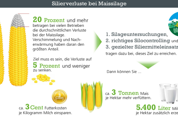 silageverluste.jpg