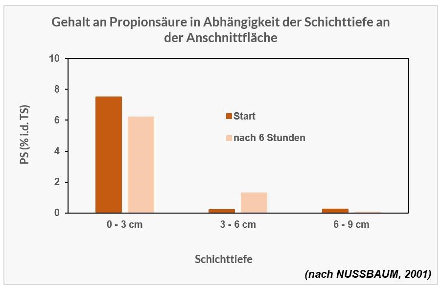 Gehalt an Propionsäure in Abhängigkeit der Schichttiefe an der Anschnittfläche