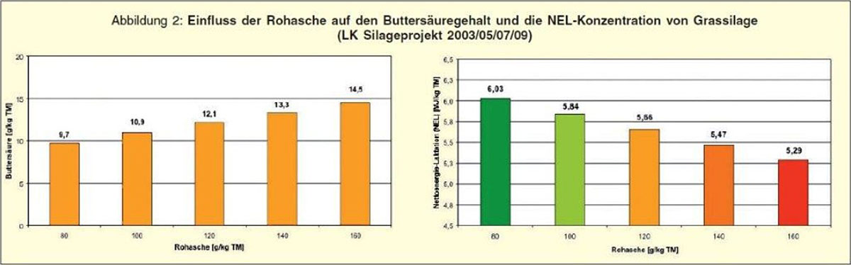 Futterverschmutzung – Einfluss der Rohasche