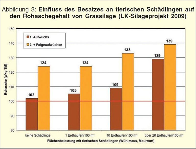 Futterverschmutzung – Einfluss des Besatzes an tierischen Schädlingen