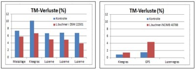 L. buchneri und Gärverluste - TMverluste