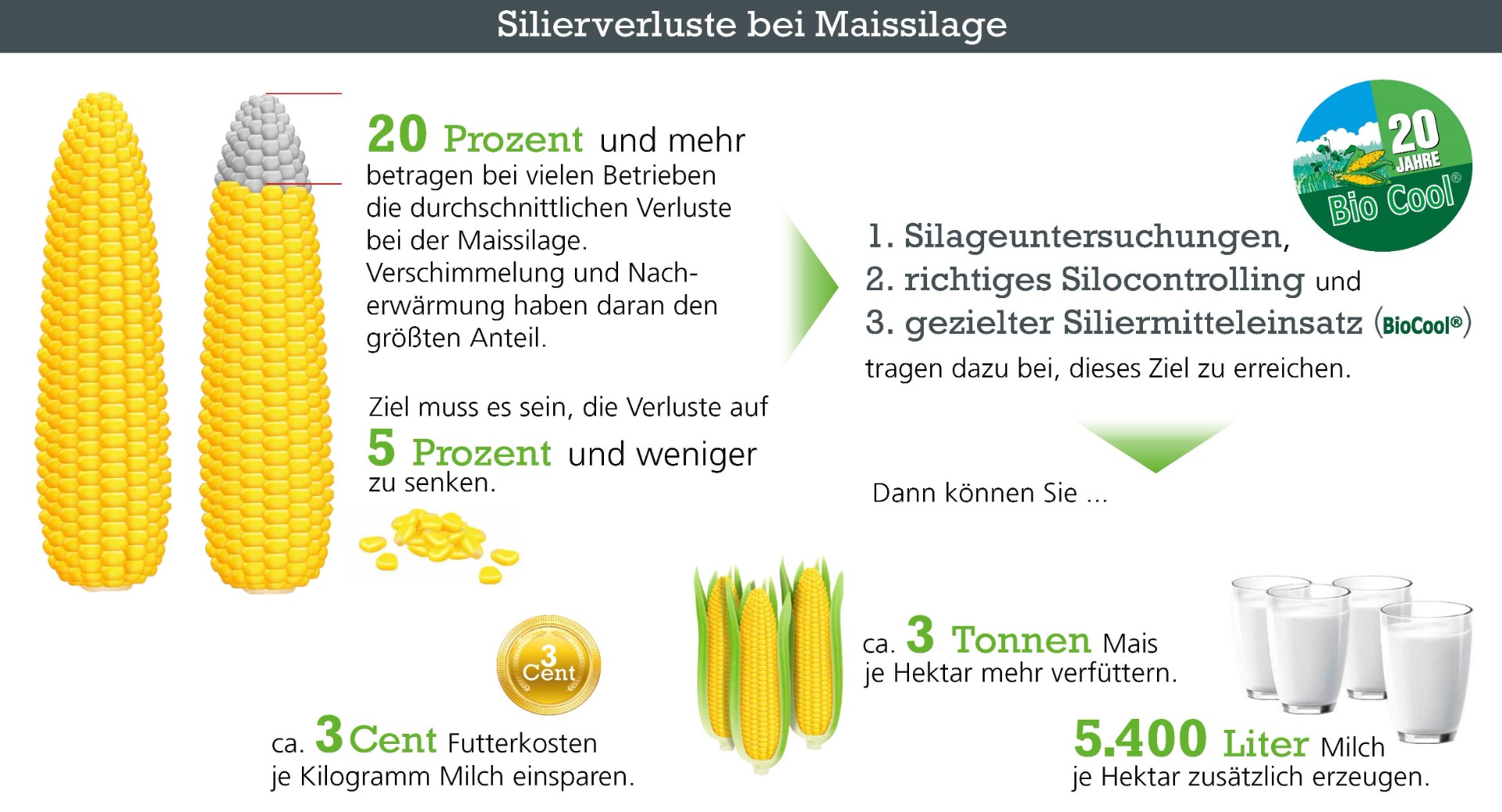 silageverluste.jpg